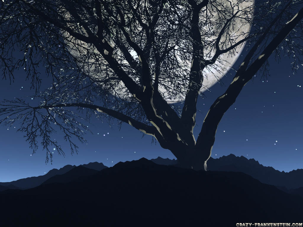 moon-and-tree-3d-landscape-wallpapers.jpg